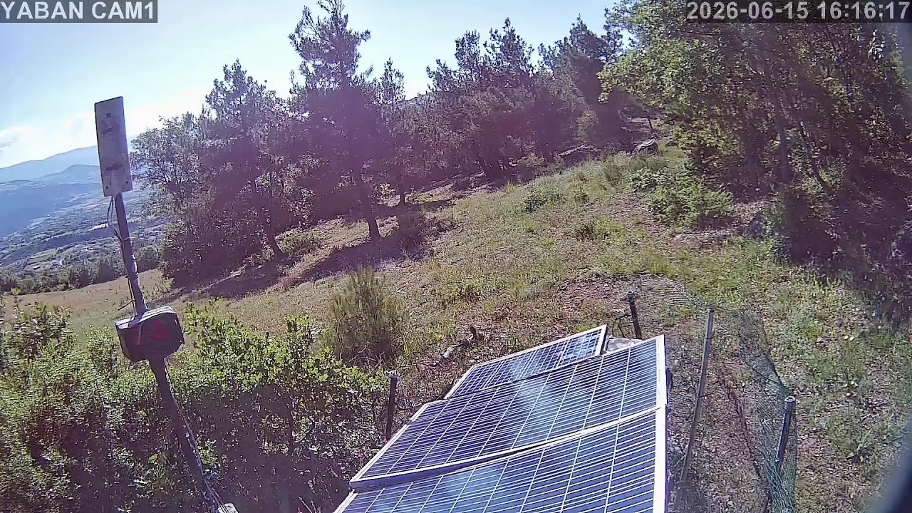 Live webcam view of Erbaa Wildlife Hillside Cam