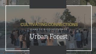 We Planted a Native Forest at a Lisbon University (Miyawaki Method)
