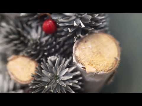 VOLNA-9 cheap old soviet lens | silent review