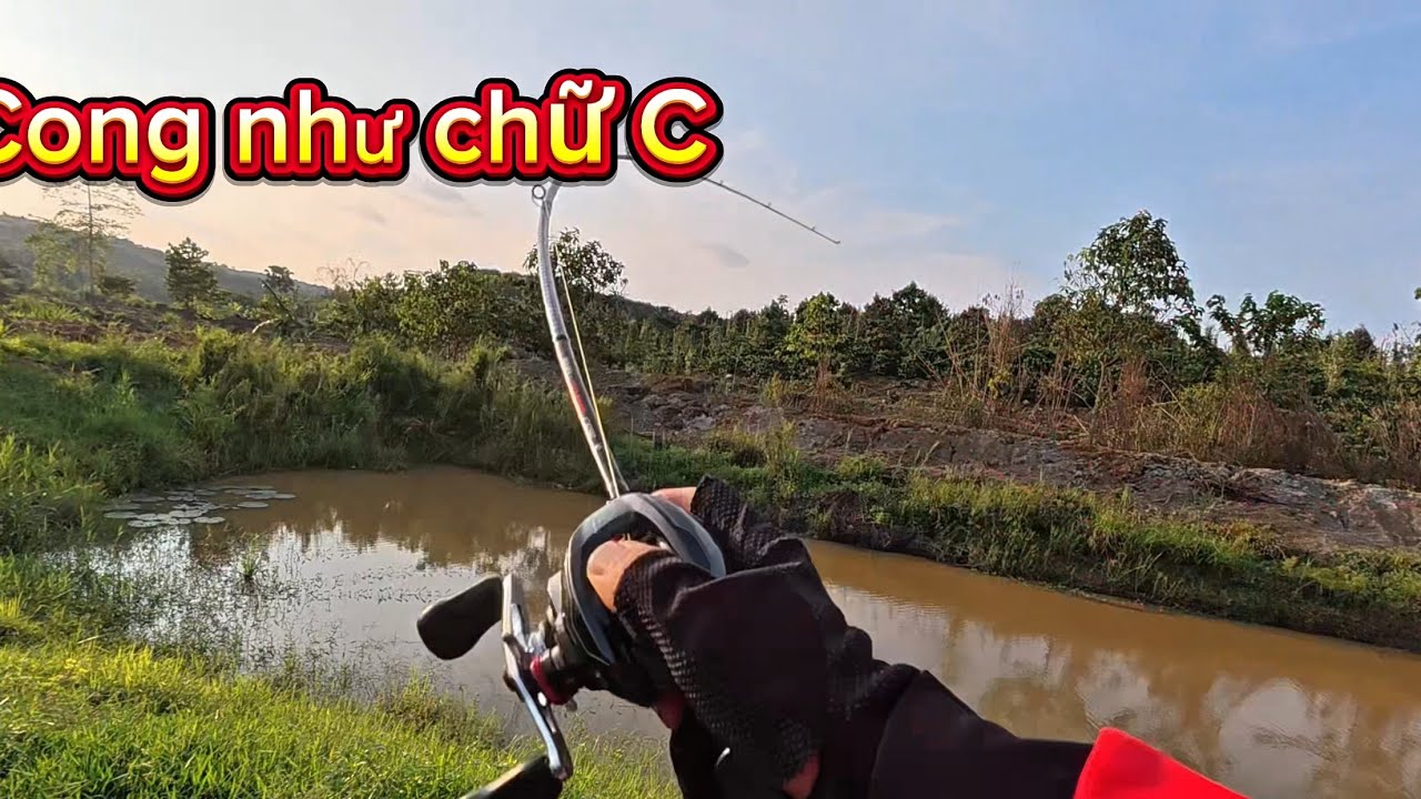 Câu Lure Cá Lóc Mùa Khô Tây Nguyên Cá Ăn Mạnh