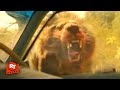 Beast (2022) - Lion Attack Scene | Movieclips