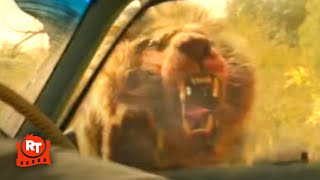 Beast (2022) - Lion Attack Scene  Movieclips
