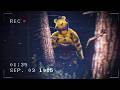 Watching Fnaf Vhs Tapes In The Forest
