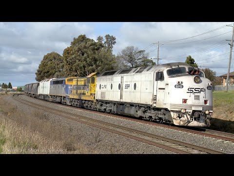 7775V SSR Grain Train With CLP12, 4910, S311 & CLF3  (5/8/2021) - PoathTV Australian Railways