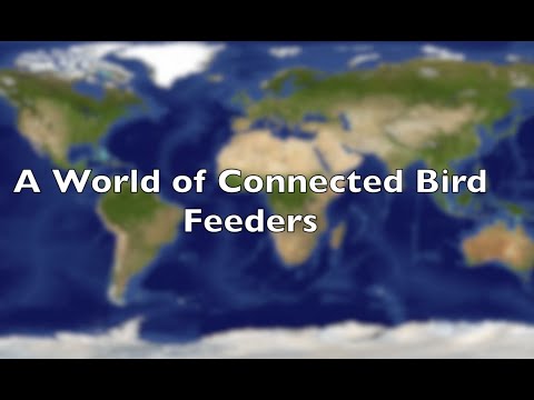 Happy Birds ! a World of Connected Bird Feeders / Connectez Vous Aux  Jardins Du Monde (bilingue) : 9 Steps (with Pictures) - Instructables