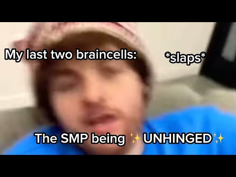 The DSMP being ✨UNHINGED✨ for 4 minutes and 33 seconds