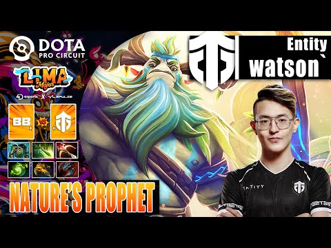 BETBOOM vs ENTITY | WATSON 13K MMR NATURE'S PROPHET HARD CARRY | LIMA MAJOR 2023 Dota 2 Highlights