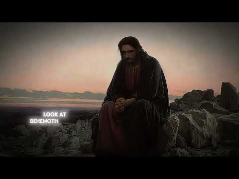 Job 38-41: Brace yourself like a man