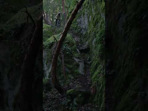 Ace Hayden can ride down anything 😳 #shorts #mtb