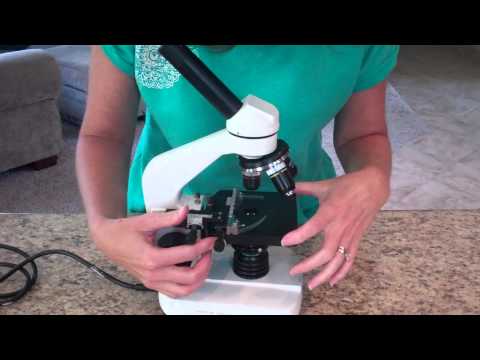 Watch Video on YouTube