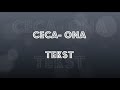 Ceca - Ona - Tekst 