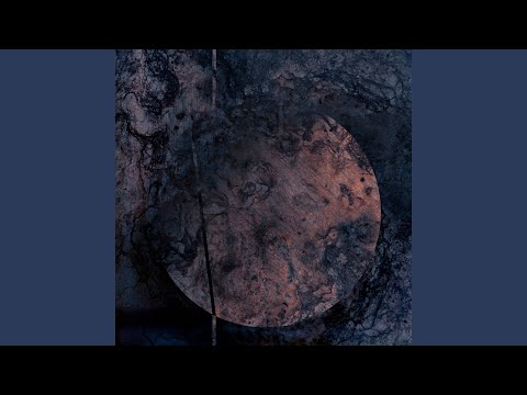 Restricted (Delusional Circuits Interpretation)