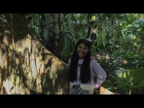 Maestra Celestina Sings an Ikaro