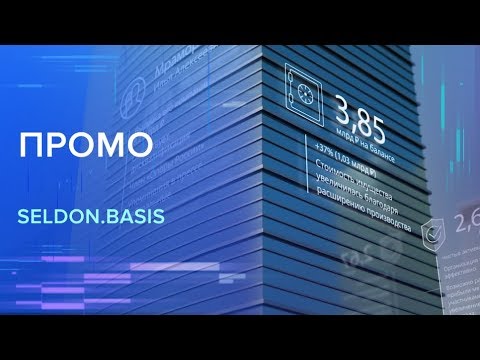 Seldon.Basis видео