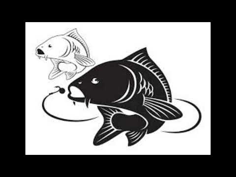 Romhányi József: Hal-dal