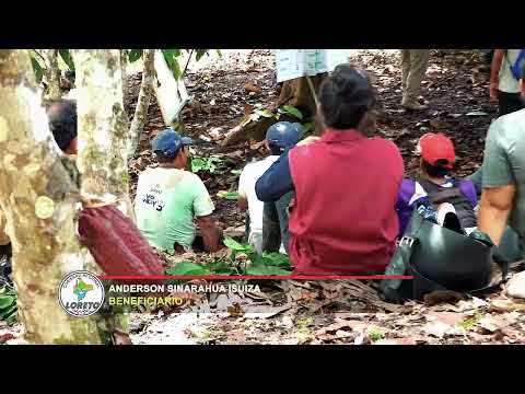 GOBIERNO REGIONAL DE LORETO CAPACITA A PRODUCTORES DE CACAO