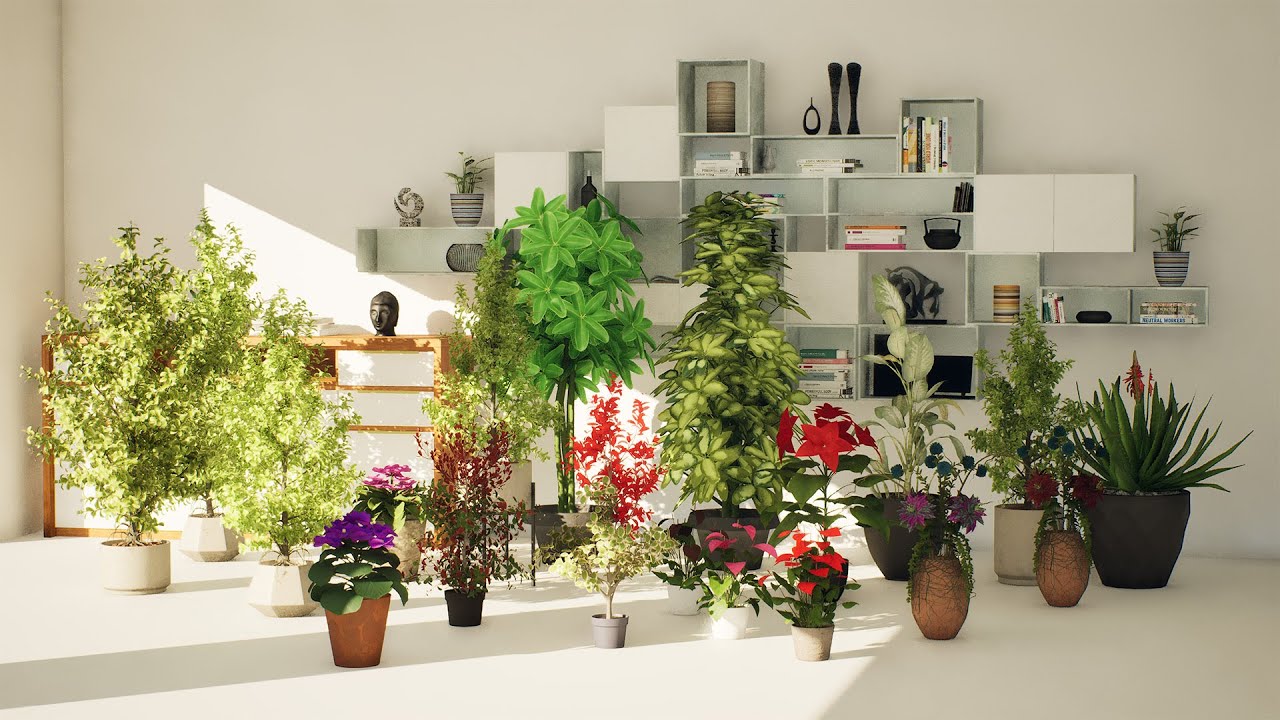 Indoor Plant 3d Collection 3D Model
