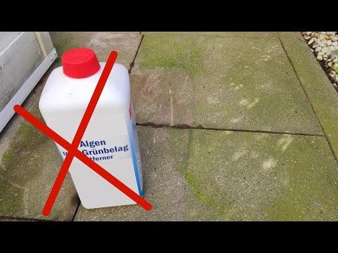 Grünbelag mühelos entfernen! Ohne teuren Grünbelag-Entferner