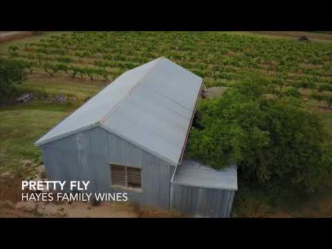 Hayes Family Wines
