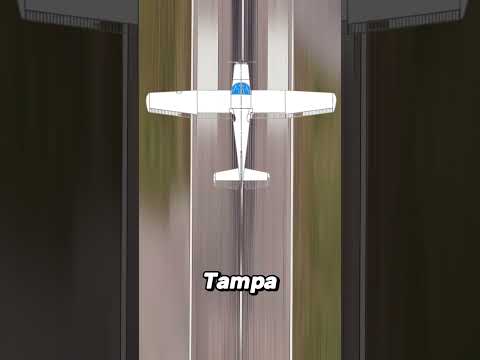 The Shocking Story of the Tampa Plane Crash Copycat