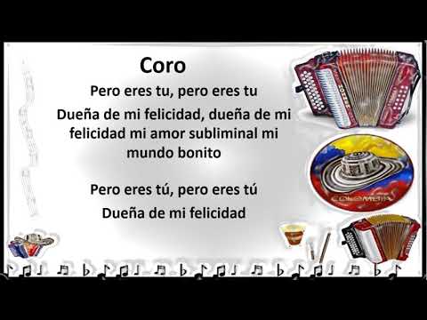 Dueña De Mi Felicidad - Beto zabaleta & Beto Villa (Letra)
