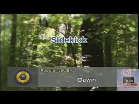 Sidekick- Dawin