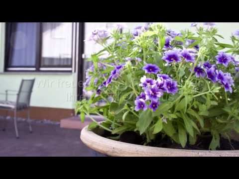 Abendrot Karolus - Die Ferienwohnung in Sinsheim-Steinsfurt