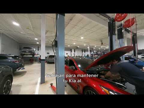 Tocars Kia - The Largest Kia in the Caribbean