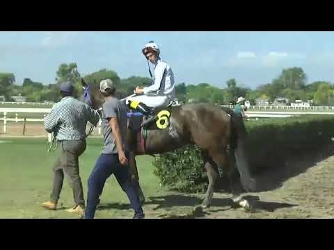 SINT PAYSANDU 230427 c01 - 1° ISOLINO