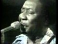 Muddy Waters Hoochie Coochie Man '72 Buddy Guy  Junior Wells