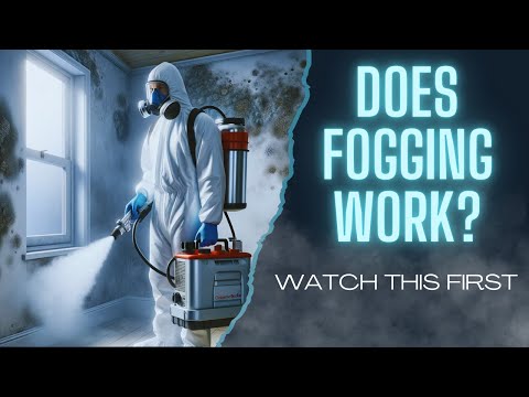 Does Fogging Get Rid of Mold? (Watch THIS Before You Do It)