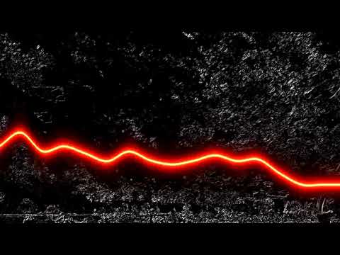 LIMBURG - 31-08-2019