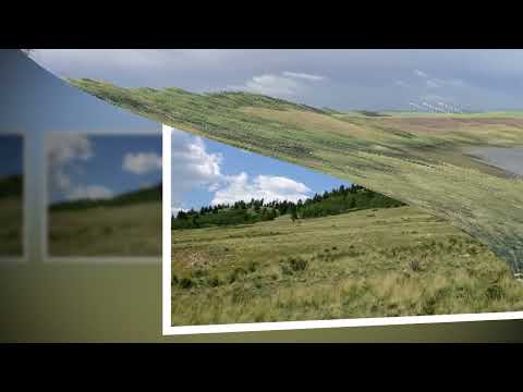 Jordan Nikolić    Oj, jabuko, zeleniko!