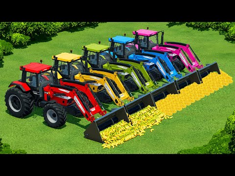 TRANSPORT BANANAS & CORN WITH CASE AND URSUS TRACTORS AND TRAILERS - Farming Simulator 22
