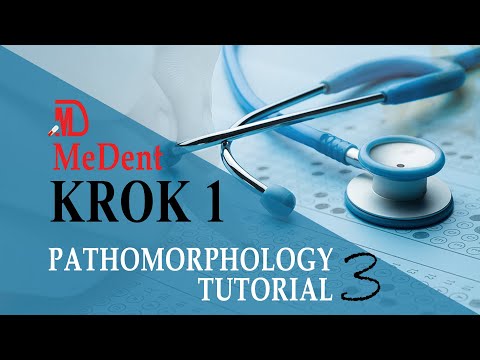 Krok 1 Base | Pathomorphology | Tutorial 3