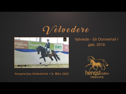Velvedere - * 2019 von Valverde x Sir Donnerhall I