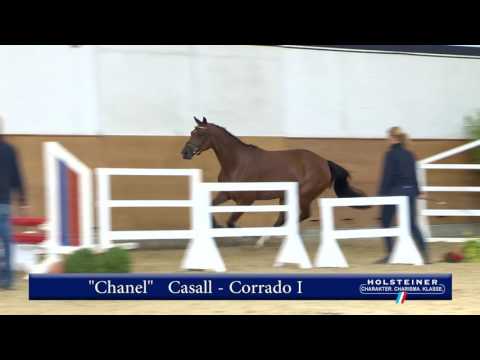 116. Chanel v. Casall - Corrado I