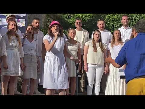 Kalush Orchestra - Stefania (cover by choir VoicesInTime)