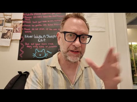 We Went To A CAT CAFE! It Was PAWSITIVELY Amazing (See What I Did There)