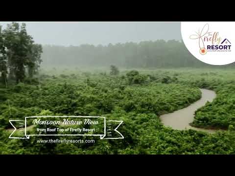 Monsoon Nature view from roof top of Firefly Resort