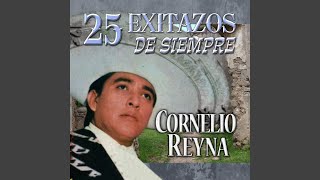 Ingrato Amor (Original Mix)