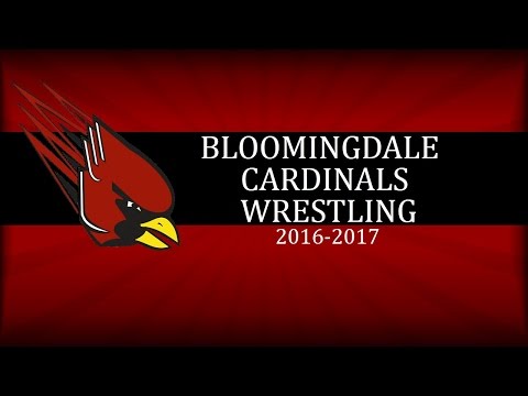 Bloomingdale Wrestling 2017