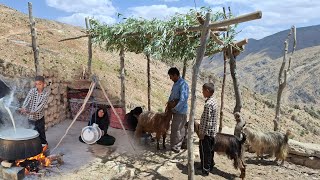 Download lagu Nomadic life in the heart of the mountains, building sheep shelters with only wood and leaves mp3