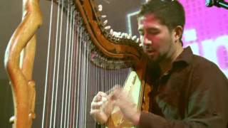 Los Pollos Lila Downs