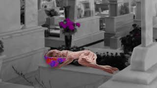 The Cure - A Chain of Flowers
