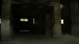 Cales  -  Through the Years