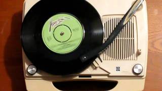 X-Ray Spex - The Day the World Turned Day-Glo