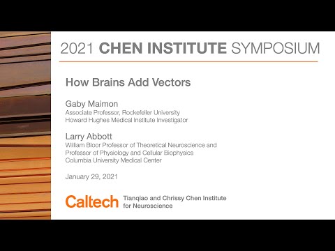 Chen Institute Symposium 2021 - Larry Abbott and Gaby Maimon