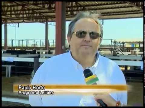 TERRA PECUÁRIA - Edição 13/10/2014