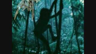 SADIST - DEN SISTE KAMP